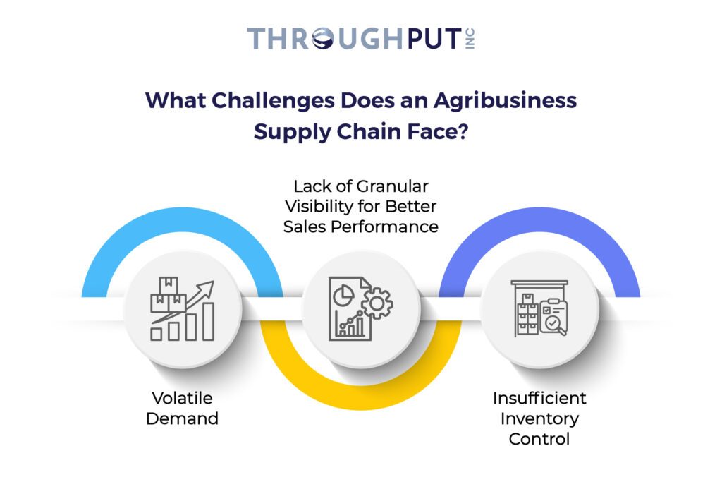 What Challenges Does an Agribusiness Supply Chain Face