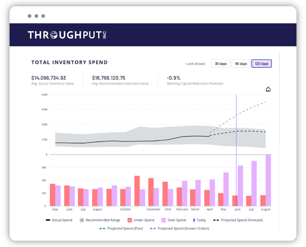 Total Inventory Spend - ThroughPut AI