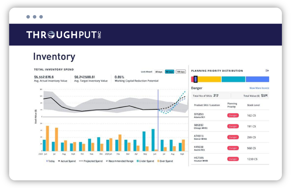 Total Inventory Spend - ThroughPut Product Visuals