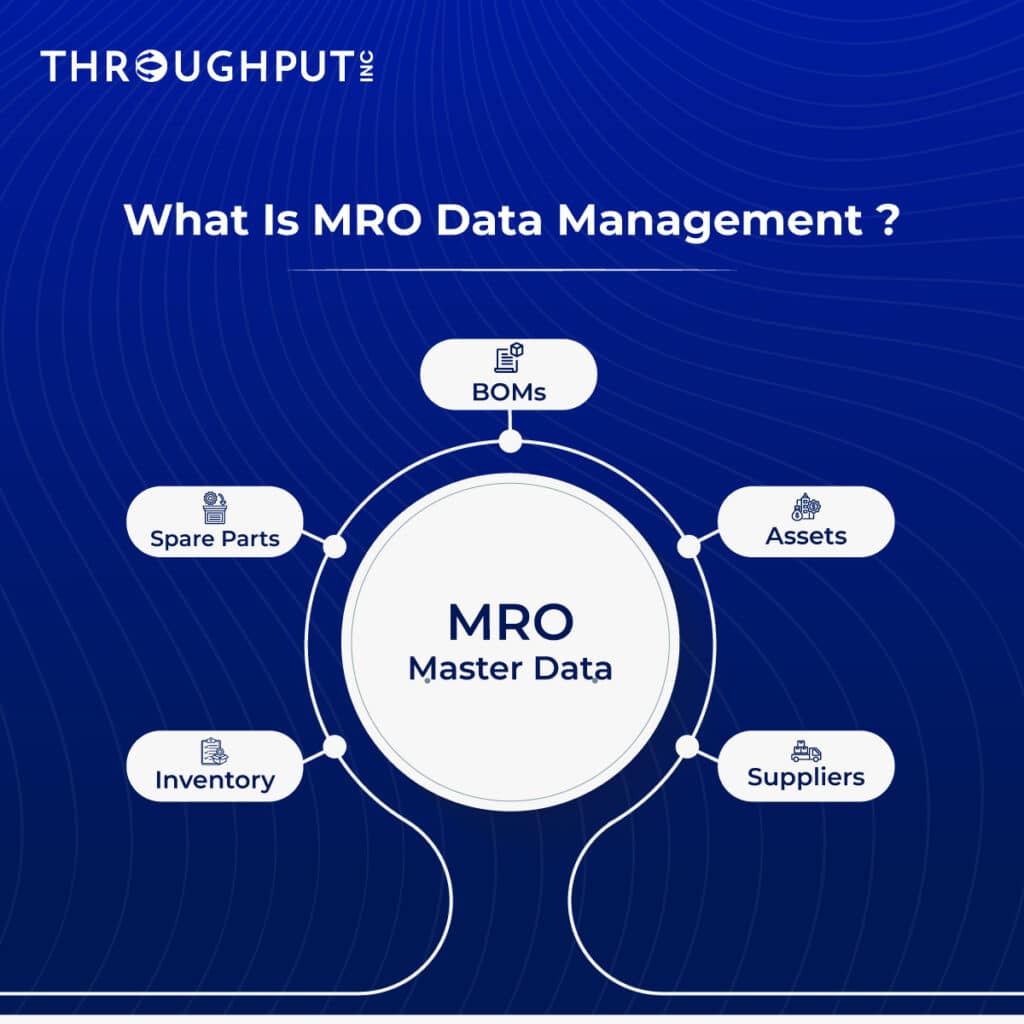 What Is MRO Data Management?